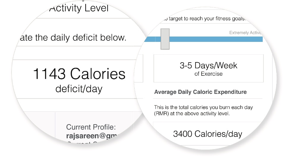 caloric expenditure Styku