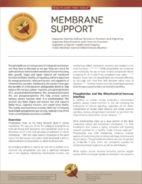 Membrane Support - Image 3